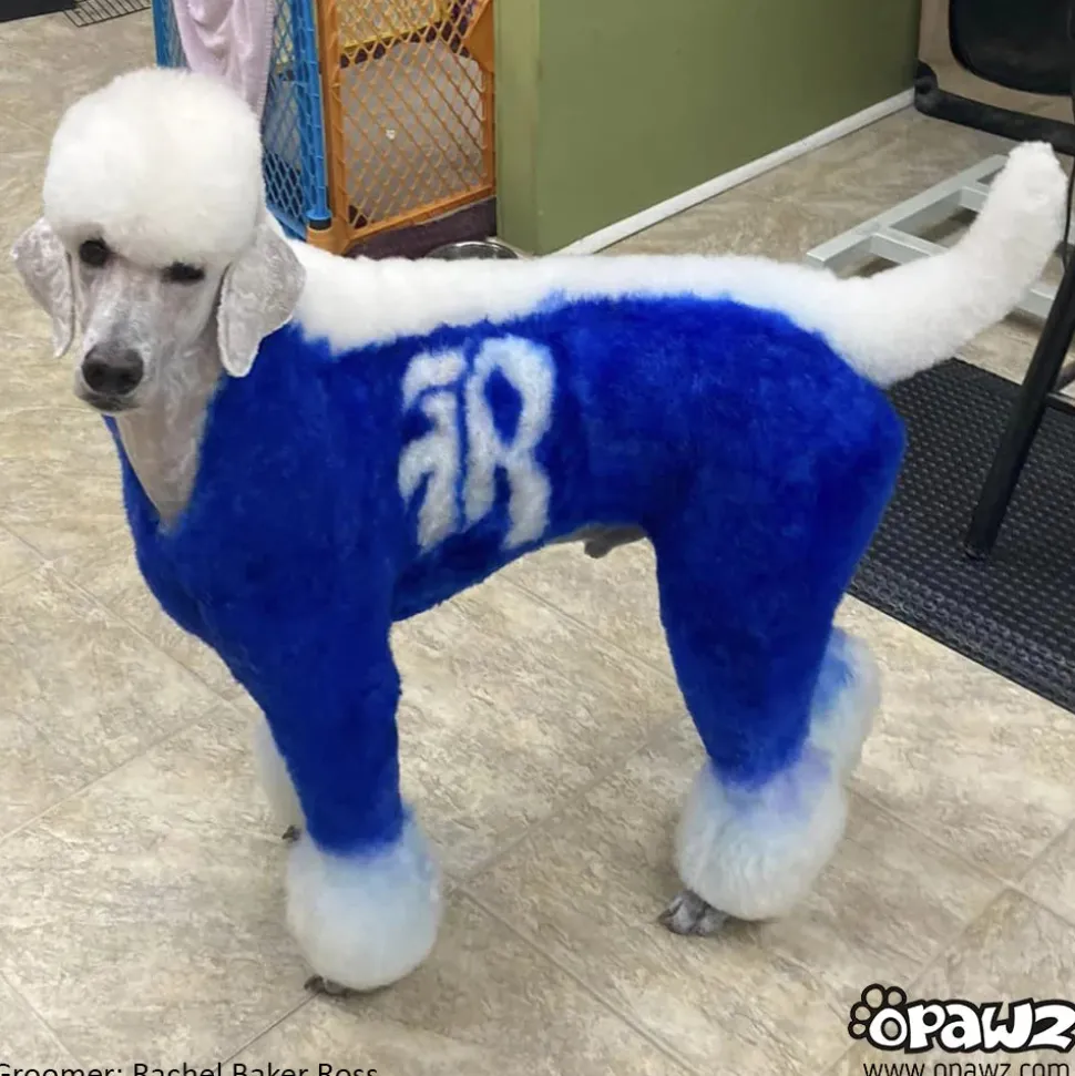 Permanent Dog Hair Dye Cobalt Blue 8oz by Opawz