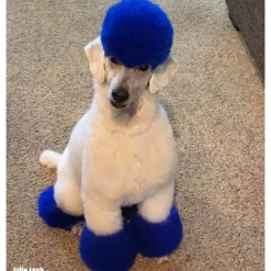 Permanent Dog Hair Dye Cobalt Blue 8oz by Opawz