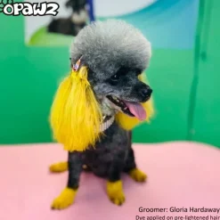 Permanent Dog Hair Dye Glorious Yellow 8oz by Opawz