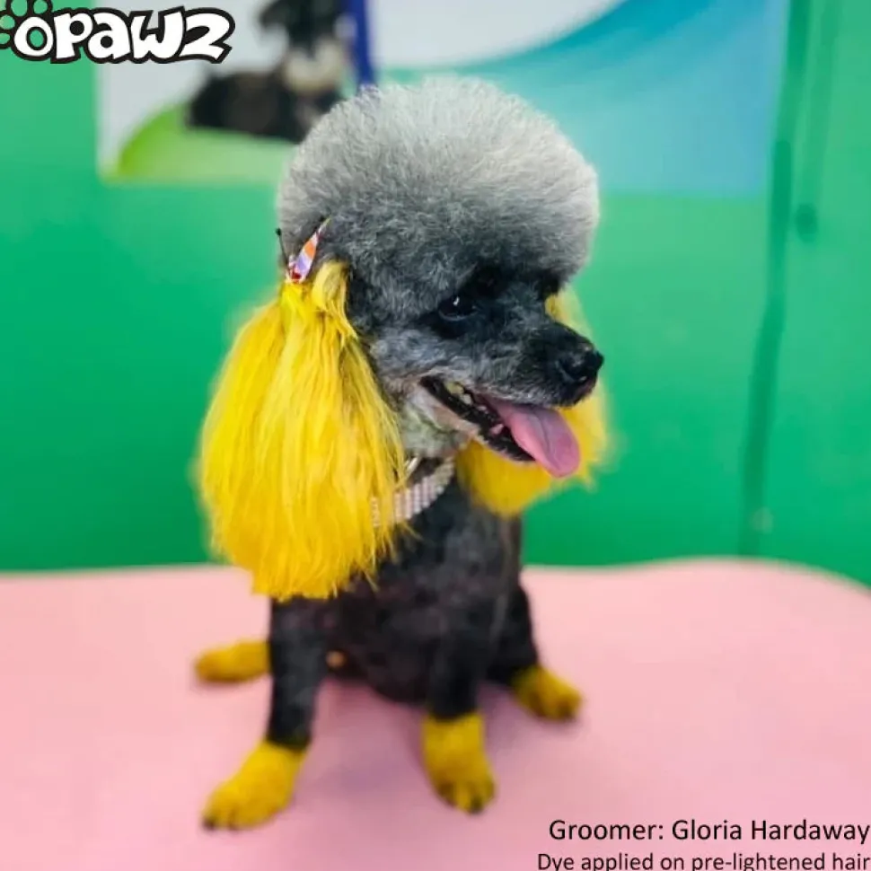 Permanent Dog Hair Dye Glorious Yellow 8oz by Opawz