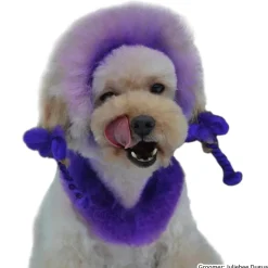 Permanent Dog Hair Dye Indigo Purple 8oz by Opawz