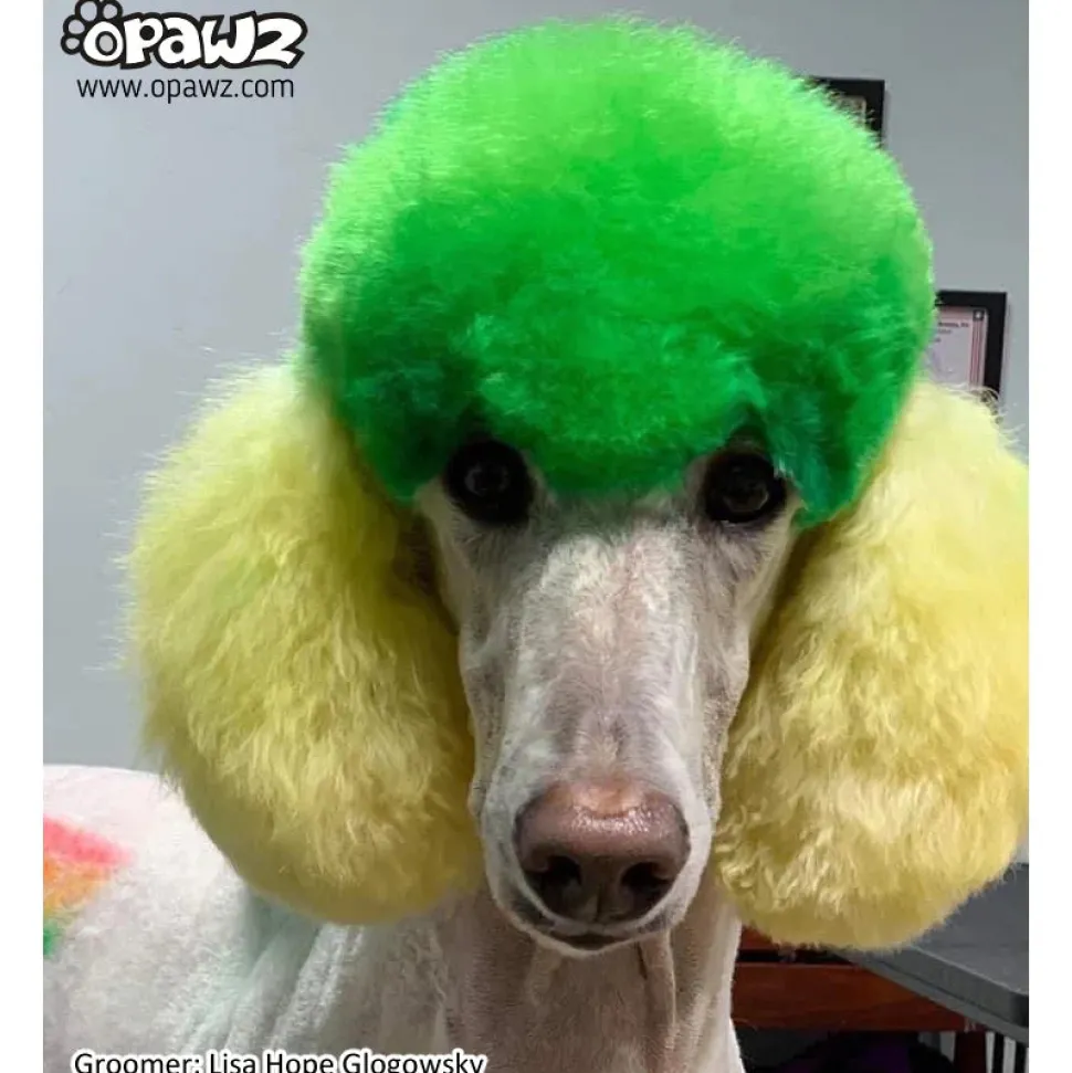Permanent Dog Hair Dye Profound Green 8oz by Opawz