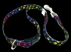 24″ Polyester Loop Rainbow Pretty Paws by Groom Loop