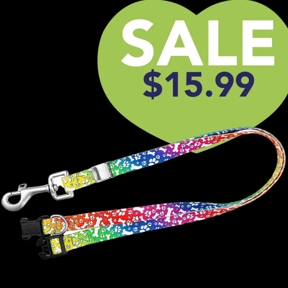 24" Polyester Loop Trippy Dog by Groom Loop