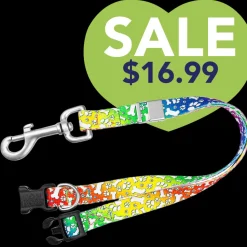 16" Polyester Loop Trippy Dog by Groom Loop