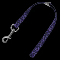 20" Purple Leopard Grooming Loop by Loop Dawgy Dawg