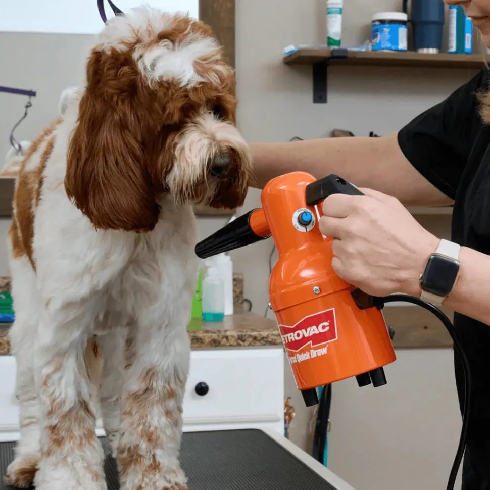 Quick Draw Compact Dog Dryer Variable Speed by Metrovac