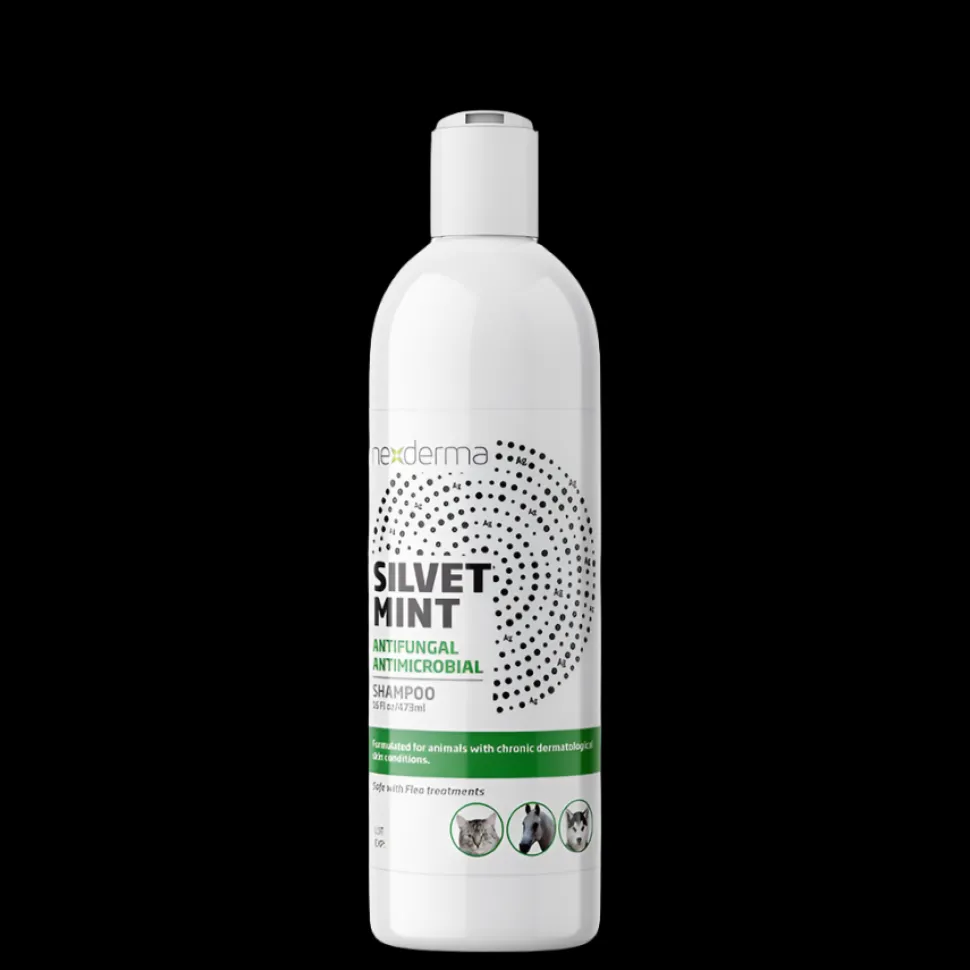 Silvet Mint Antifungal Antimicrobial Shampoo 16oz by Nexderma