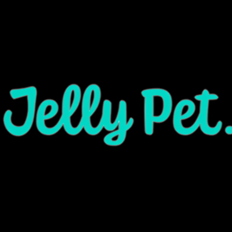 Small Double Sided Slicker Brush by Jelly Pet