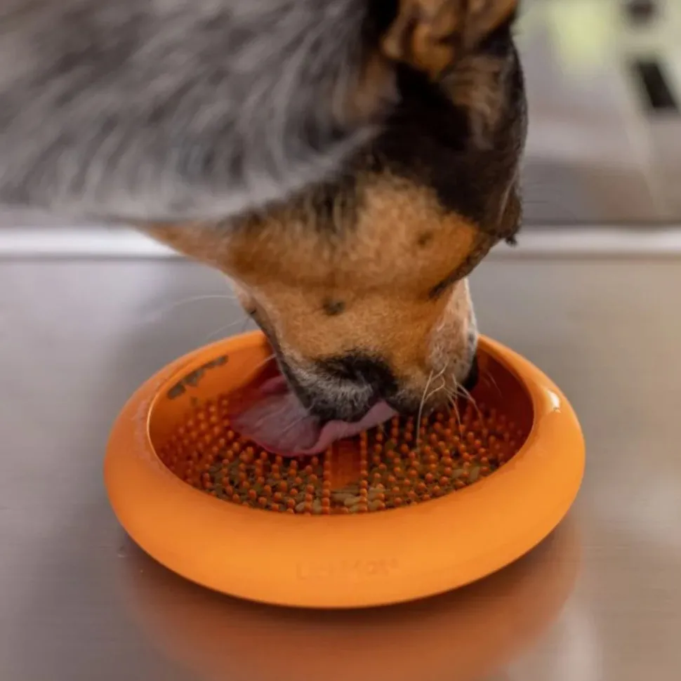 UFO Slow Feeder Dog Bowl Orange by LickiMat