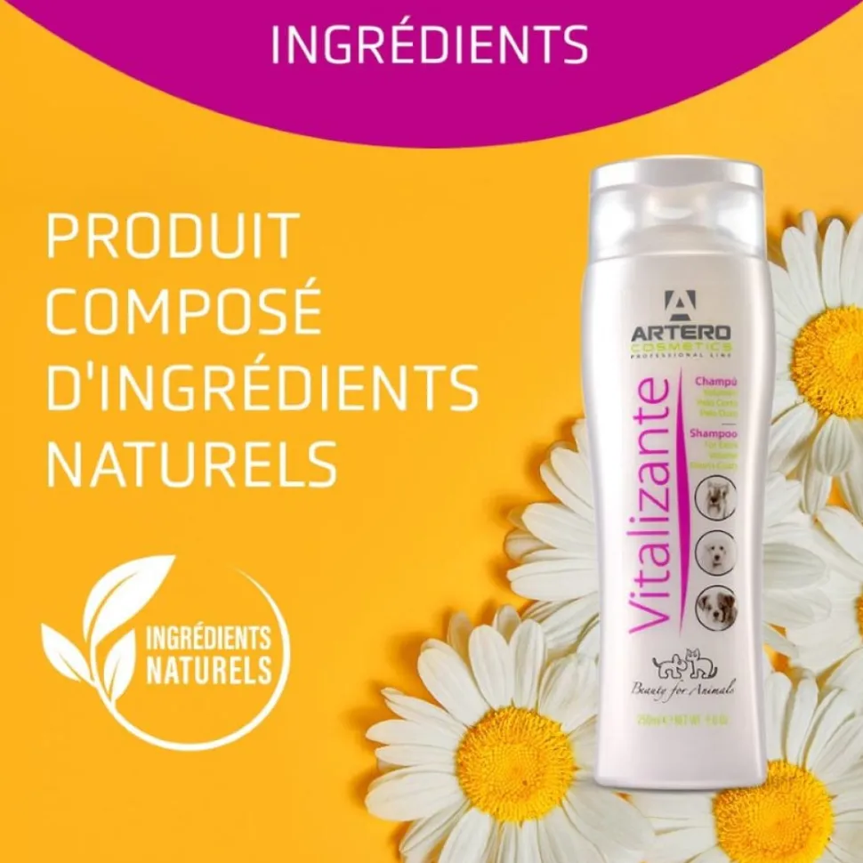 Vitalizante Volumizing Shampoo 9 oz by Artero