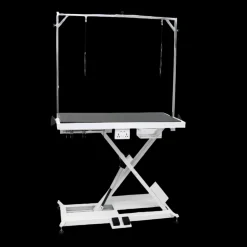X-Style Electric Lifting Table - 48" Top by PetStore.Direct