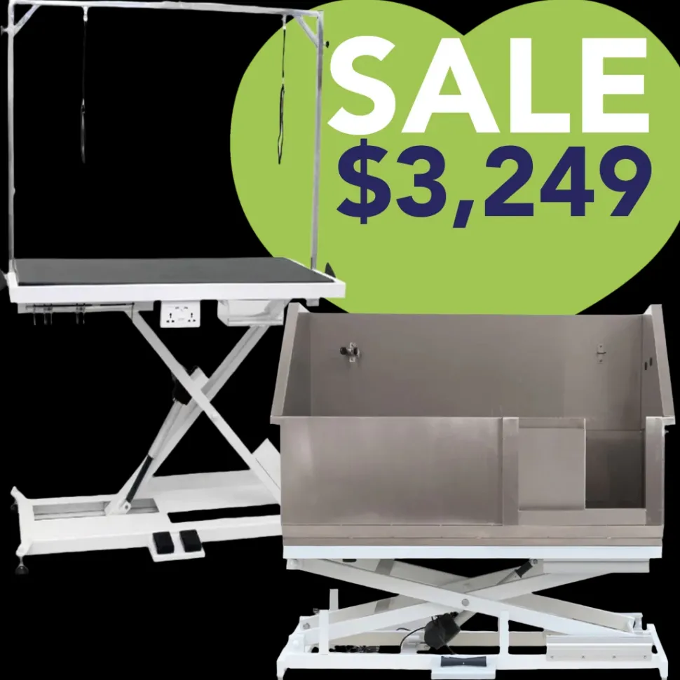X-Style Electric Table and Electric Tub Bundle by PetStore.Direct Equipment