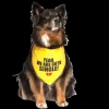 Yeah, We Are Both Single Dog Bandana by Dog Fashion Living